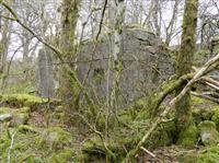 Ruin beside the Spean